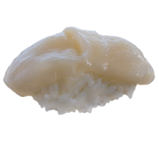 98. Nigiri Hotategai 98. Nigiri Hotategai